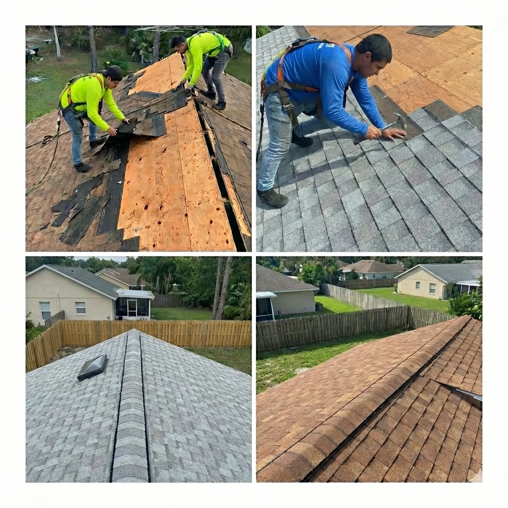 Recent Blue Line roof replacements — crews installing underlayment and finished shingle roofs in South King County